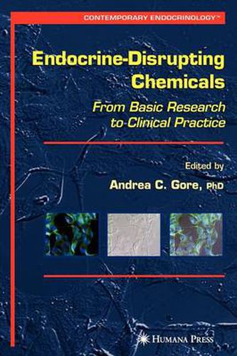 Cover image for Endocrine-Disrupting Chemicals: From Basic Research to Clinical Practice