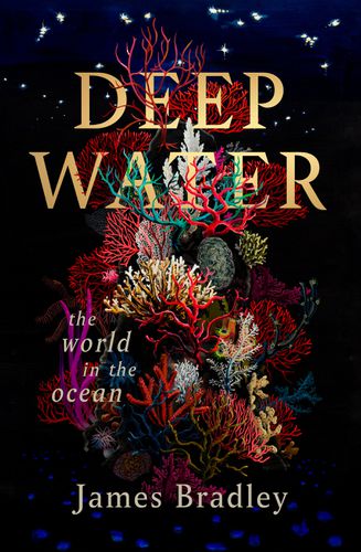 Cover image for Deep Water: The World in the Ocean