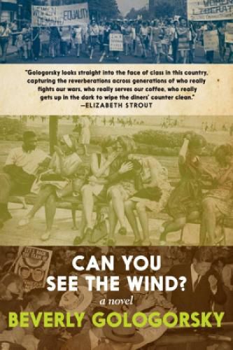 Cover image for Can You See The Wind?