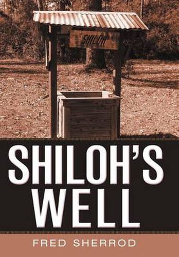 Cover image for Shiloh's Well