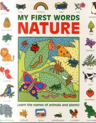 Cover image for My First Words: Nature (giant Size)