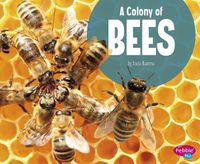 Cover image for A Colony of Bees (Animal Groups)