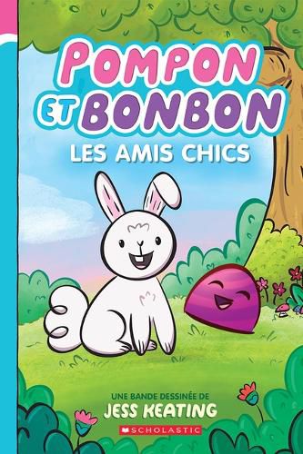 Cover image for Pompon Et Bonbon N degrees 1 - Les Amis Chics