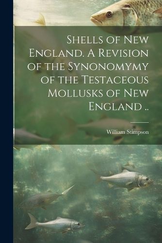 Cover image for Shells of New England. A Revision of the Synonomymy of the Testaceous Mollusks of New England ..