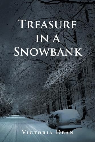 Cover image for Treasure in a Snowbank