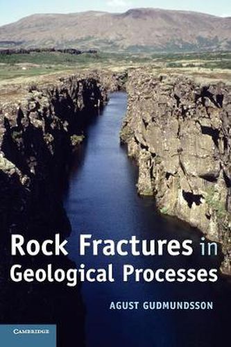 Cover image for Rock Fractures in Geological Processes