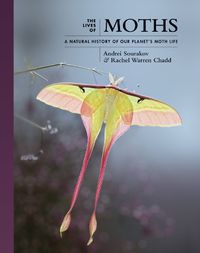 Cover image for The Lives of Moths: A Natural History of Our Planet's Moth Life