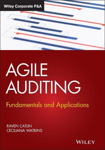 Cover image for Agile Auditing: Fundamentals and Applications