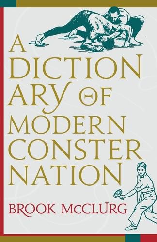 Cover image for A Dictionary of Modern Consternation