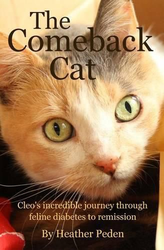 Cover image for The Comeback Cat: Cleo's incredible journey through feline diabetes to remission