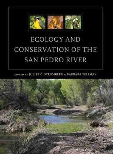 Cover image for Ecology and Conservation of the San Pedro River