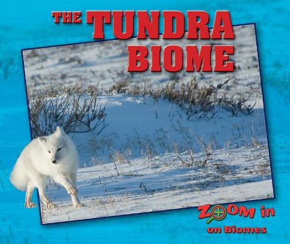 Cover image for The Tundra Biome