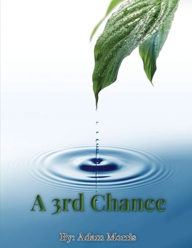 Cover image for A 3rd Chance