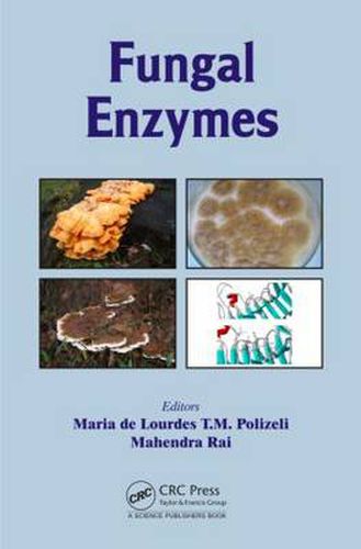 Cover image for Fungal Enzymes