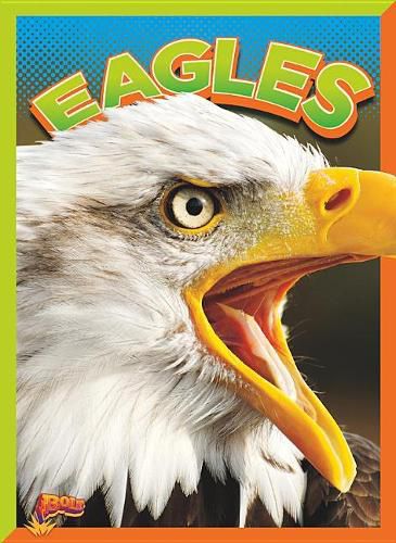 Cover image for Eagles