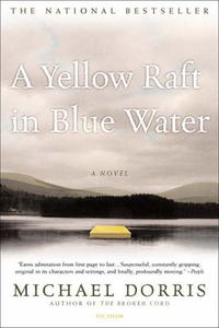 Cover image for A Yellow Raft in Blue Water