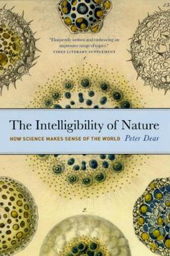 Cover image for The Intelligibility of Nature: How Science Makes Sense of the World