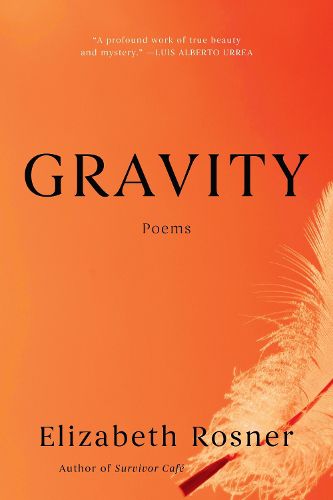 Cover image for Gravity