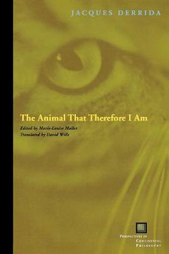 Cover image for The Animal That Therefore I Am