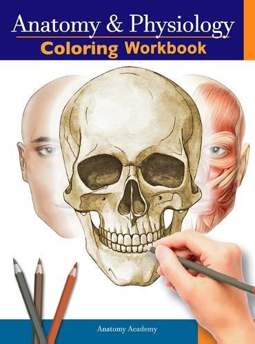 Cover image for Anatomy and Physiology Coloring Workbook