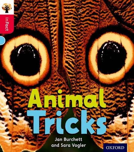 Cover image for Oxford Reading Tree inFact: Oxford Level 4: Animal Tricks