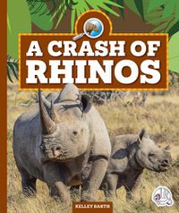 Cover image for A Crash of Rhinos