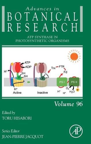 Cover image for ATP Synthase in Photosynthetic Organisms