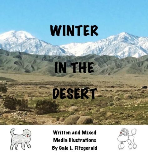 Cover image for Winter in the Desert