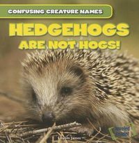 Cover image for Hedgehogs Are Not Hogs!