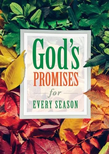 Cover image for God's Promises for Every Season (Pk of 6)