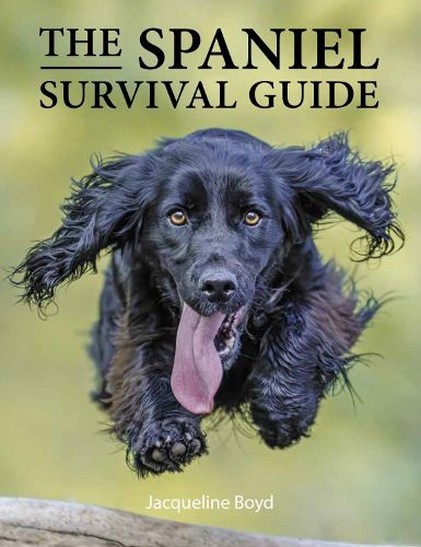 Cover image for Spaniel Survival Guide