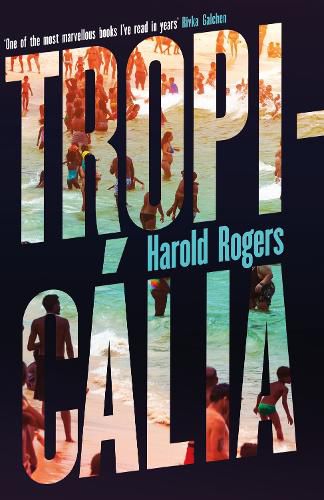 Cover image for Tropicalia