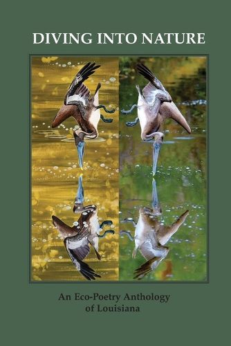 Cover image for Diving Into Nature