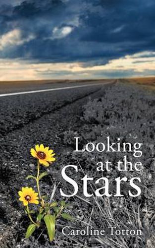 Cover image for Looking at the Stars