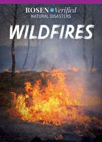 Cover image for Wildfires