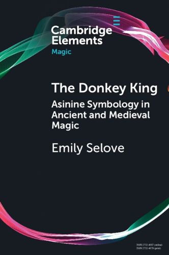 Cover image for The Donkey King