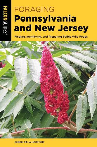 Cover image for Foraging Pennsylvania and New Jersey: Finding, Identifying, and Preparing Edible Wild Foods