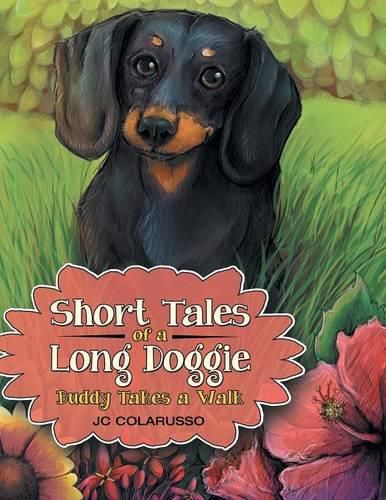 Cover image for Short Tales of a Long Doggie: Buddy Takes a Walk