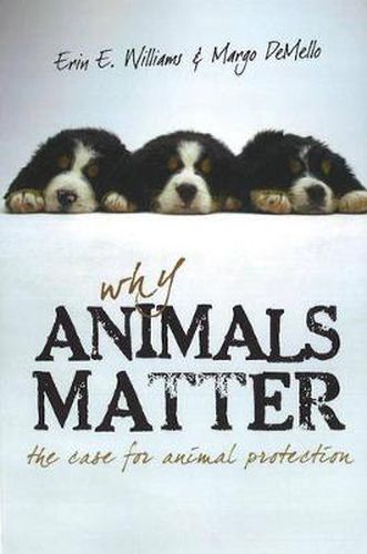 Why Animals Matter: The Case for Animal Protection