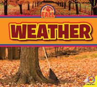 Cover image for Weather