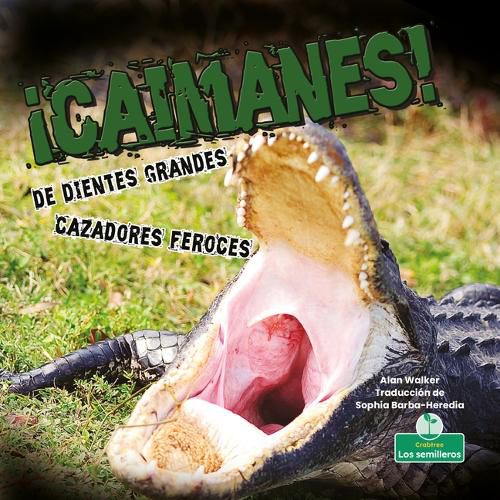 Cover image for !Caimanes! de Dientes Grandes. Cazadores Feroces