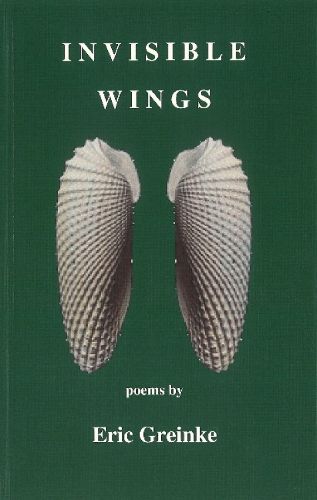 Cover image for Invisible Wings