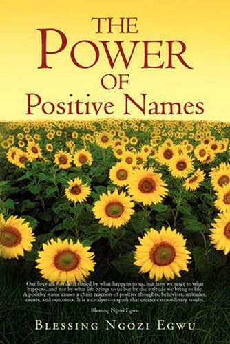 Cover image for The Power of Positive Names