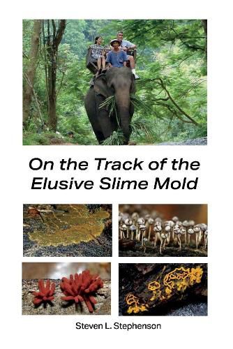 Cover image for On the Track of the Elusive Slime Mold