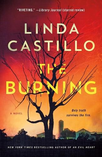 Cover image for The Burning