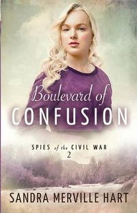 Cover image for Boulevard of Confusion