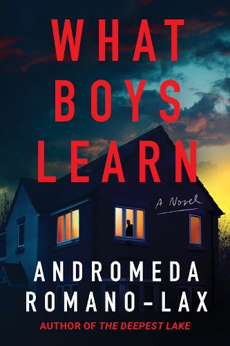 Cover image for What Boys Learn