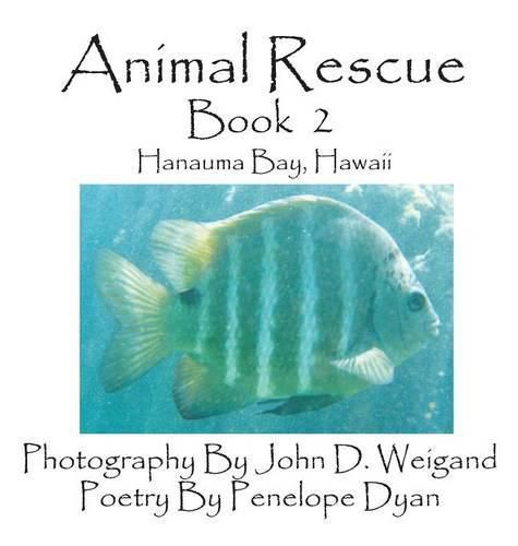 Cover image for Animal Rescue, Book 2, Hanauma Bay, Hawaii