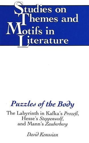 Cover image for Puzzles of the Body: The Labyrinth in Kafka's Prozess, Hesse's Steppenwolf, and Mann's Zauberberg