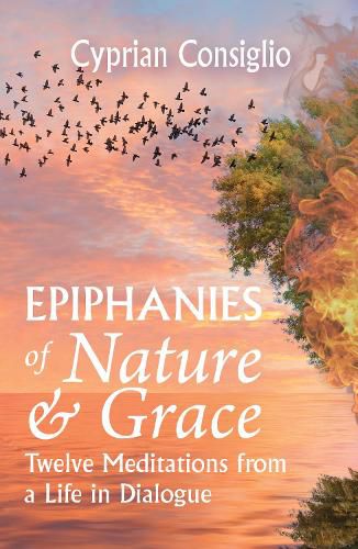 Cover image for Epiphanies of Nature and Grace